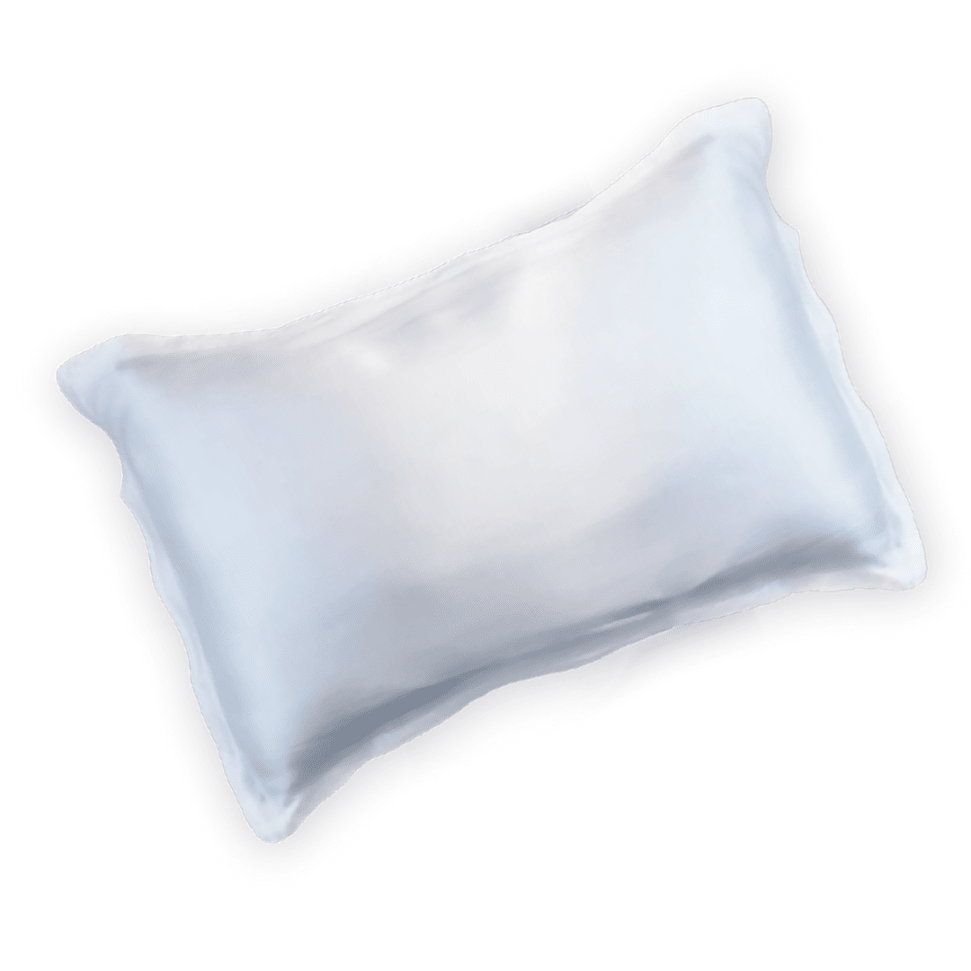 NEW Pump Mulberry Silk Pillow Case White