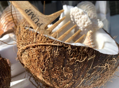 Pump Eco Coconut Wide Tooth Comb - Pump Haircare